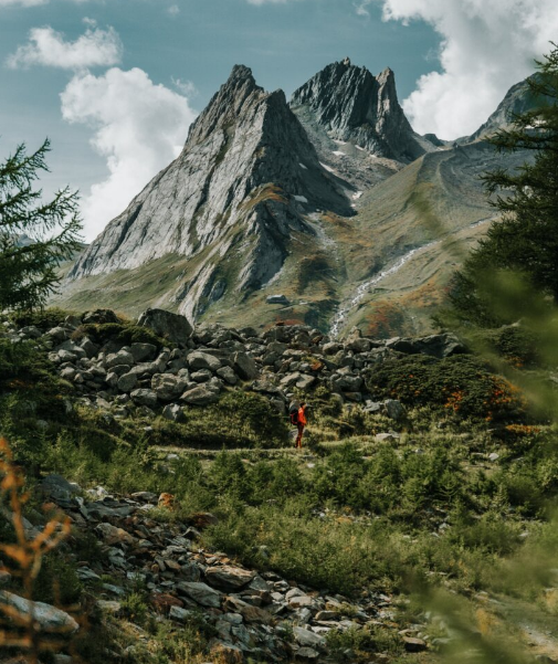 Learning the Art of Natural Photography: A Basic Guide to Understanding Outdoor Photography