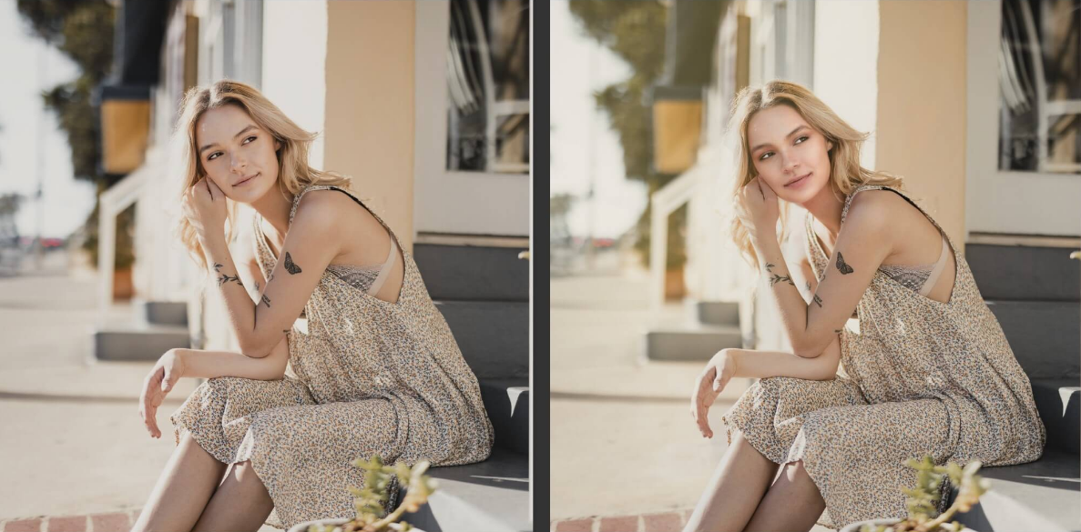 PortraitPro 23 Real Evaluation