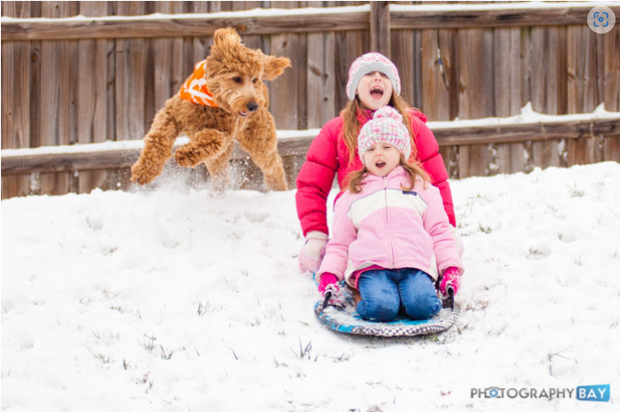 Snow: Nature’s Perfect Lighting for Stunning Photos