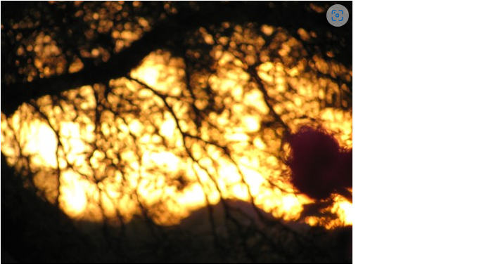 How to Enjoy Photography Despite Hand Tremors